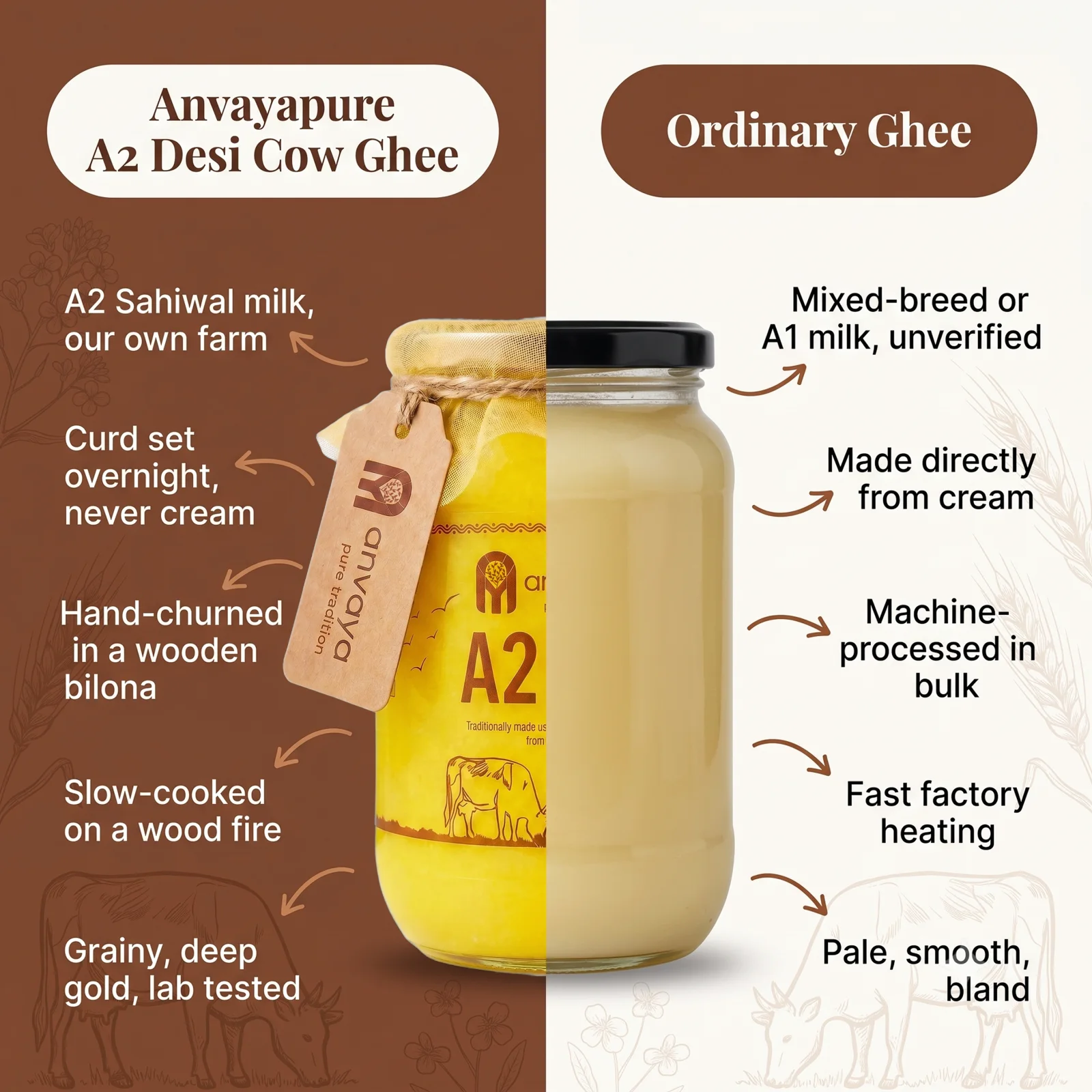 Anvayapure A2 Desi Cow Ghee compared with ordinary ghee: A2 Sahiwal milk from our own farm, curd set overnight and never cream, hand-churned in a wooden bilona, slow-cooked on a wood fire, grainy and deep gold and lab tested, against mixed-breed or A1 milk, made directly from cream, machine-processed in bulk, fast factory heating, pale and smooth and bland